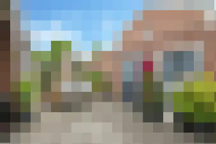 Ornament 2 Beuningen Gld thumbnail 51