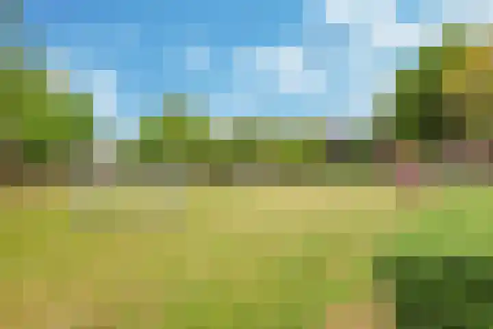 Ornament 2 Beuningen Gld thumbnail 64