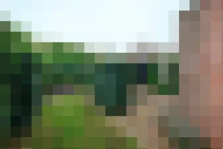 Ornsteinsingel 123 Utrecht thumbnail 11