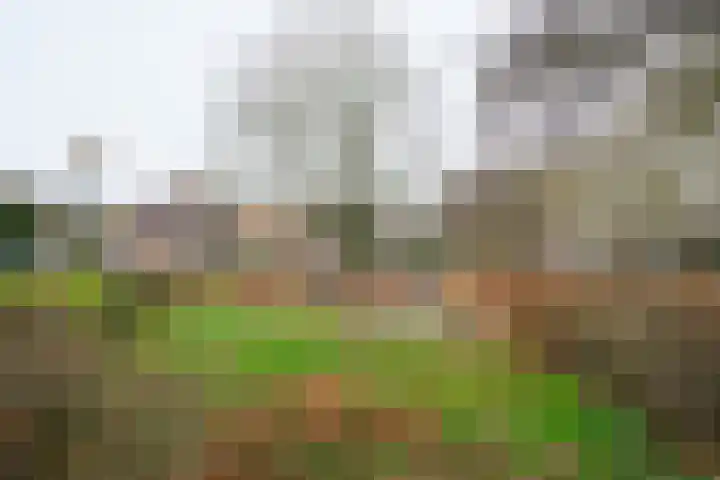 Ornsteinsingel 123 Utrecht thumbnail 24