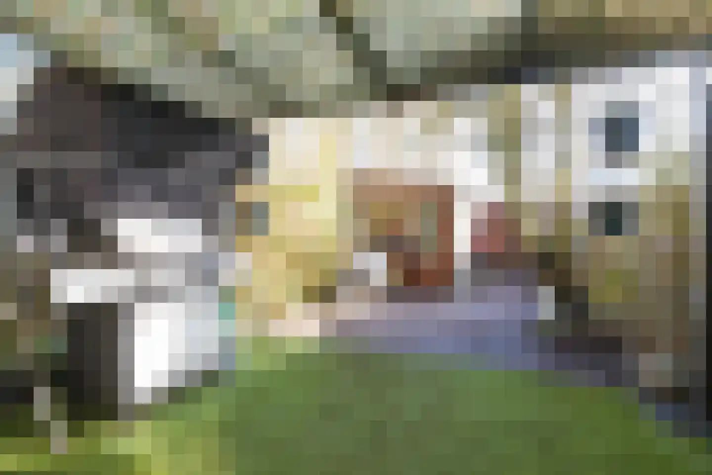 Orpheopad 8 Hoogvliet Rotterdam thumbnail 27