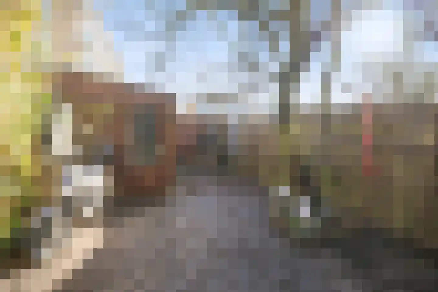 Orpheopad 8 Hoogvliet Rotterdam thumbnail 28