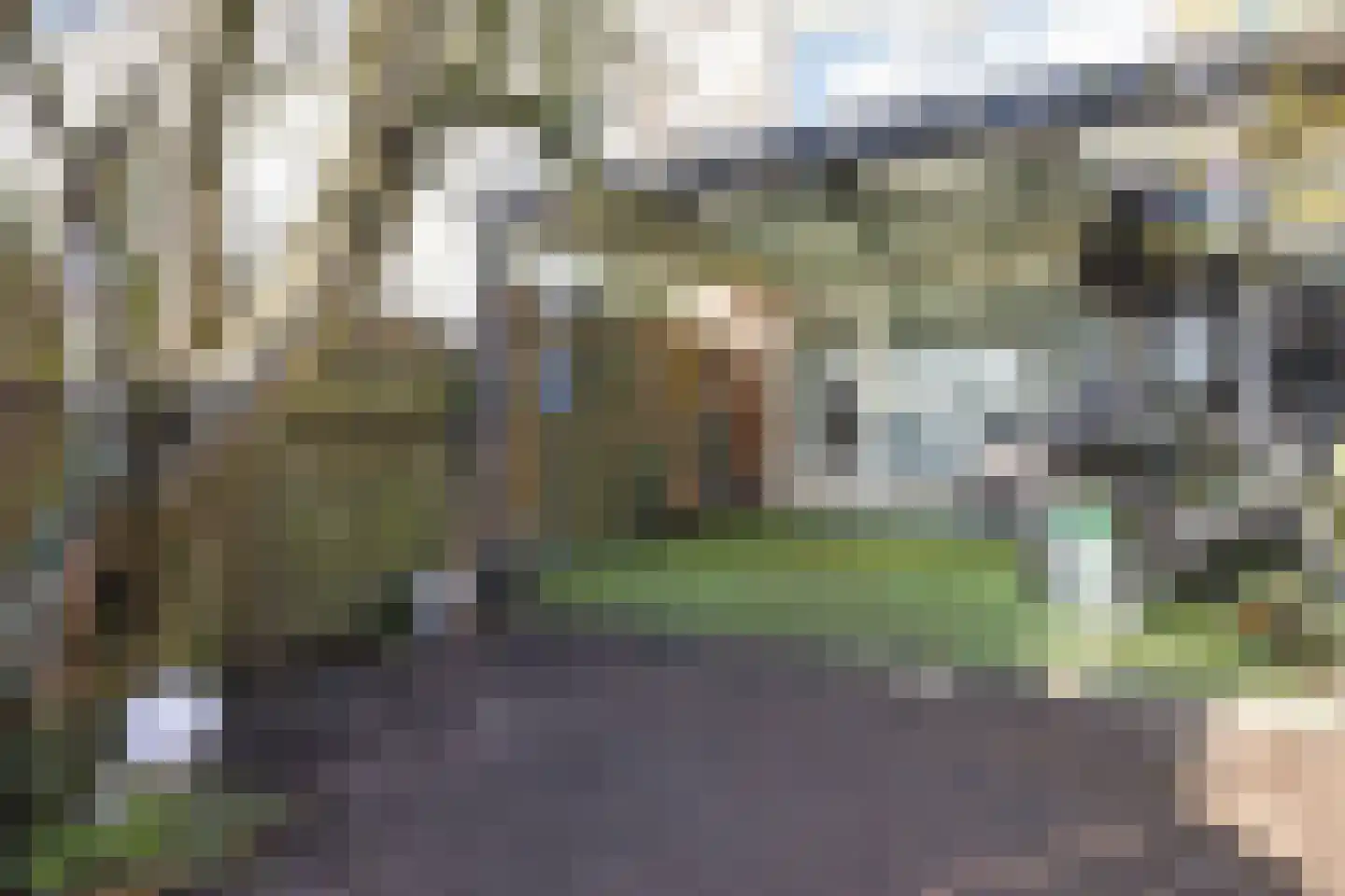 Orpheopad 8 Hoogvliet Rotterdam thumbnail 30