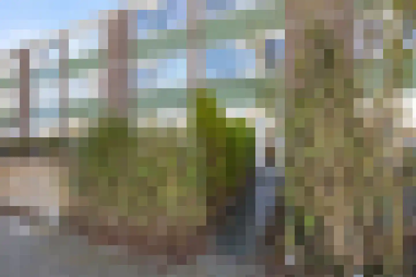 Orpheopad 8 Hoogvliet Rotterdam thumbnail 31