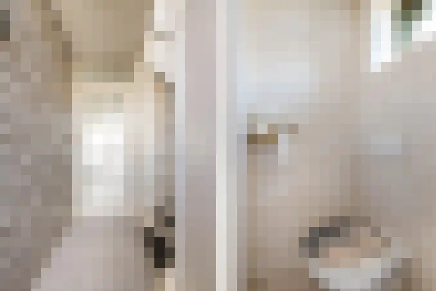 Orpheopad 8 Hoogvliet Rotterdam thumbnail 9