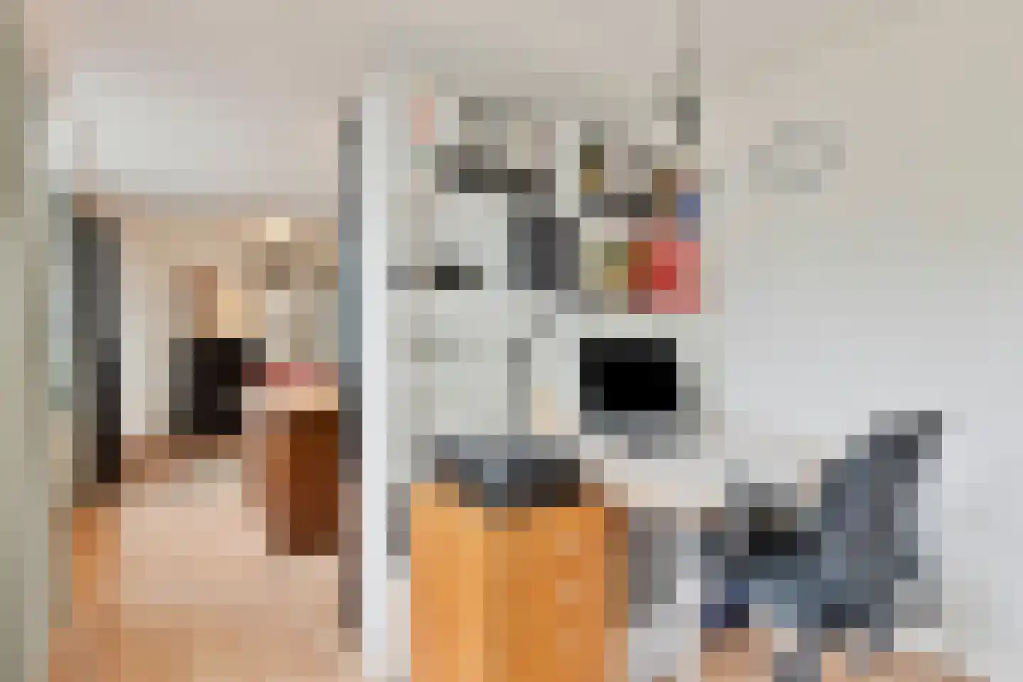 Orpheuslaan 13 Eindhoven thumbnail 28