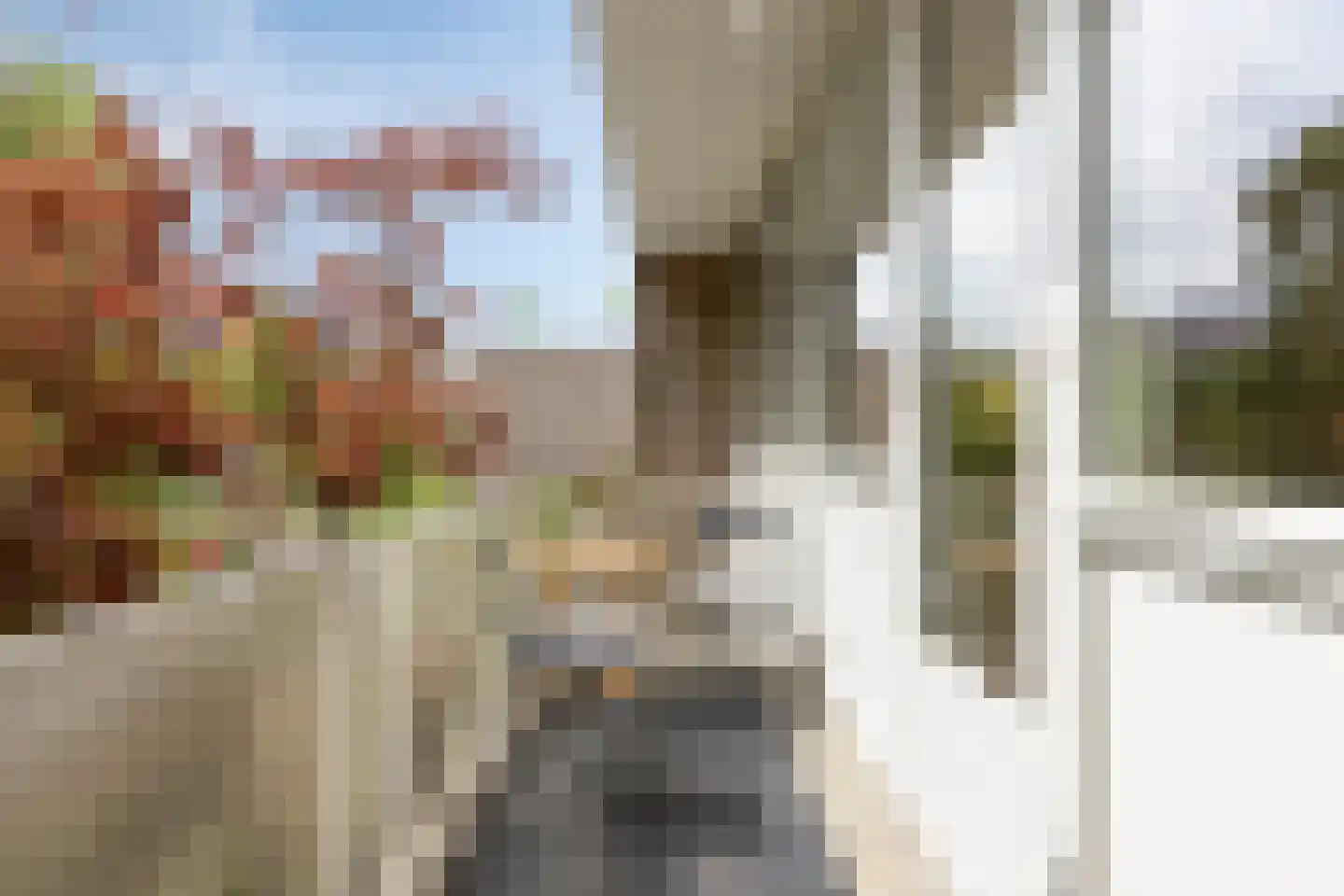 Orpheuslaan 13 Eindhoven thumbnail 39
