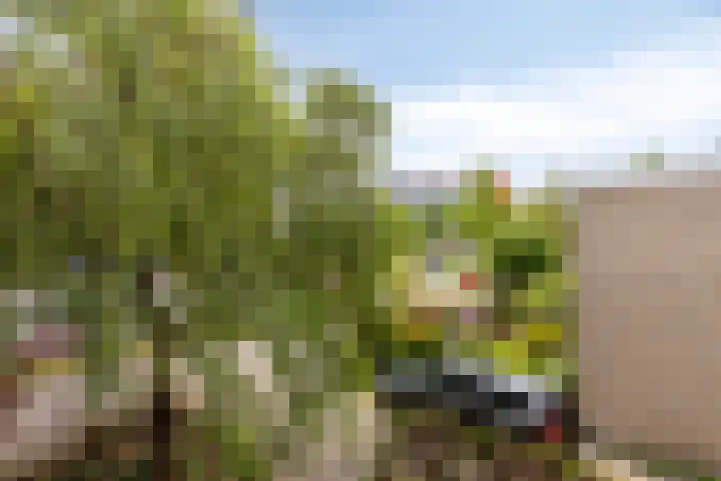 Orpheuslaan 13 Eindhoven thumbnail 40