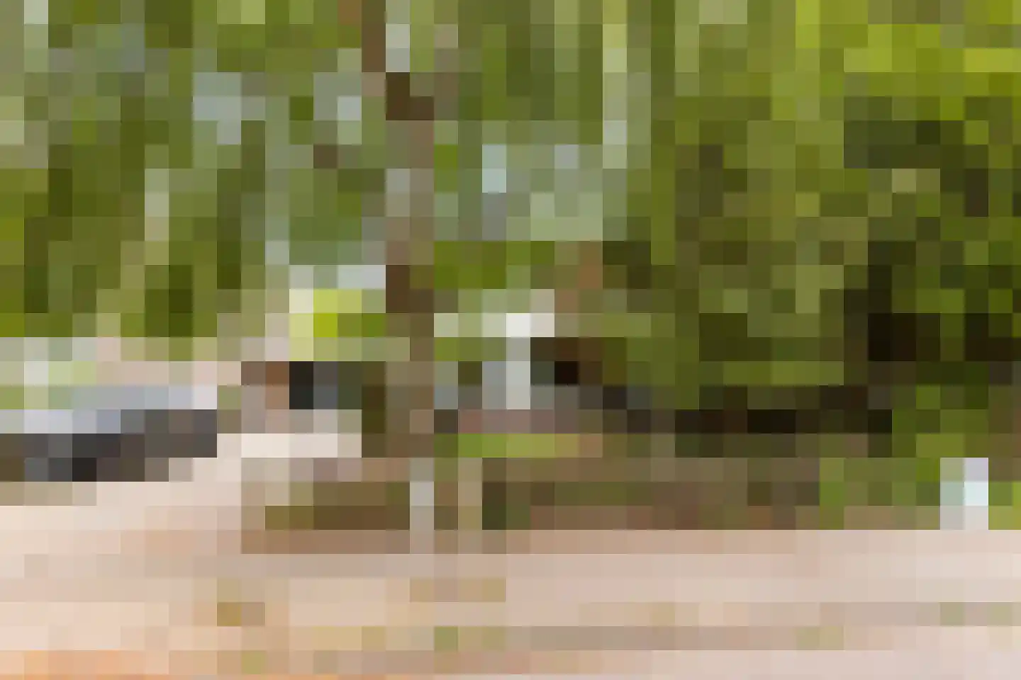 Orpheuslaan 13 Eindhoven thumbnail 5