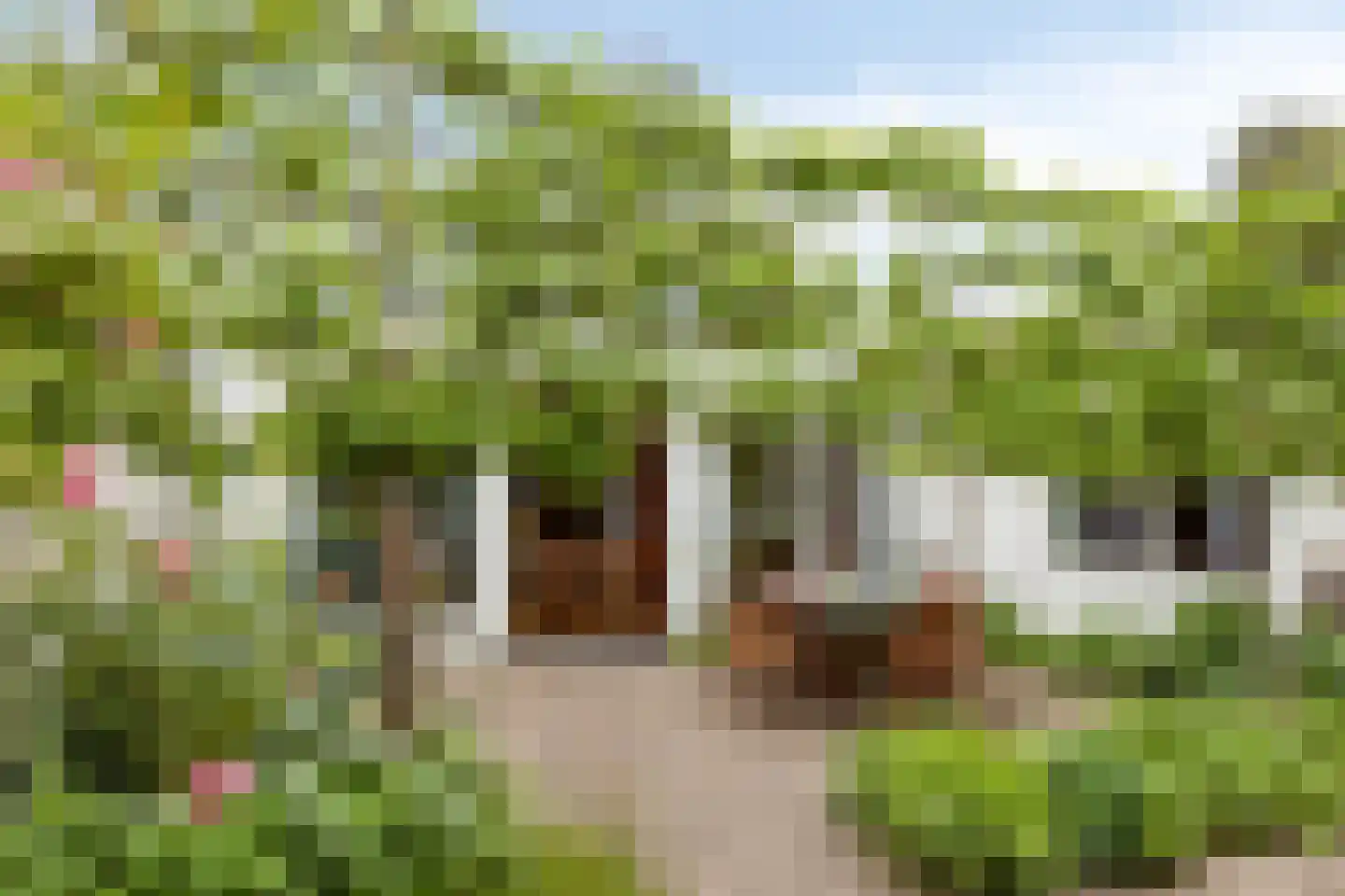 Orpheuslaan 13 Eindhoven thumbnail 52