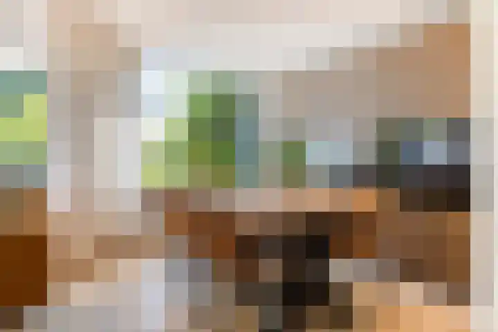 Orpheuslaan 17 Eindhoven thumbnail 10