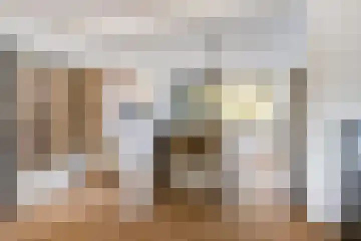 Orpheuslaan 17 Eindhoven thumbnail 12