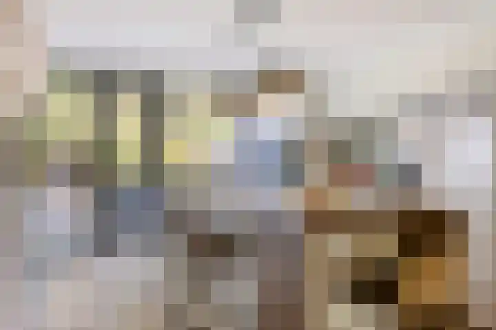 Orpheuslaan 17 Eindhoven thumbnail 13