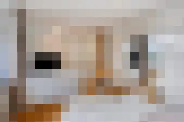 Orpheuslaan 17 Eindhoven thumbnail 19