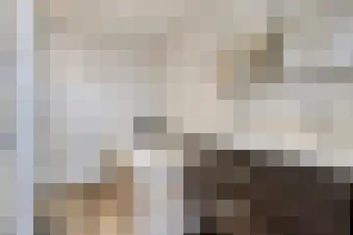 Orpheuslaan 17 Eindhoven thumbnail 24