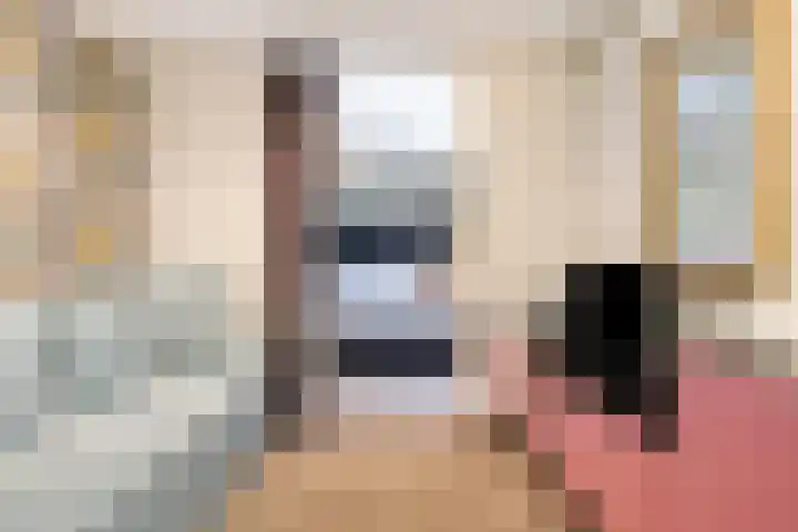 Orpheuslaan 17 Eindhoven thumbnail 34