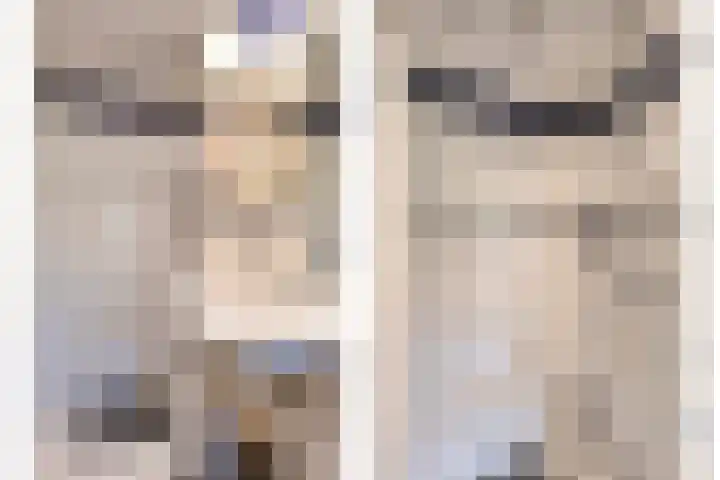 Orpheuslaan 17 Eindhoven thumbnail 39