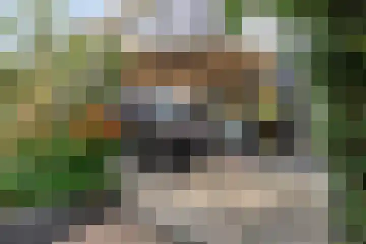 Orpheuslaan 17 Eindhoven thumbnail 4