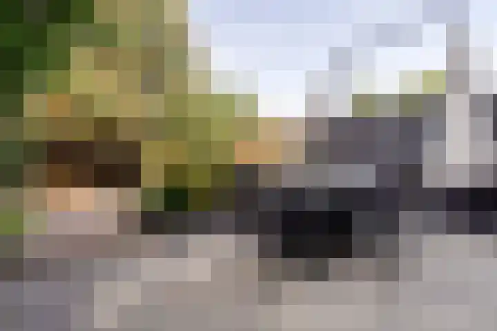 Orpheuslaan 17 Eindhoven thumbnail 40