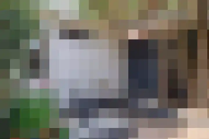Orpheuslaan 17 Eindhoven thumbnail 43
