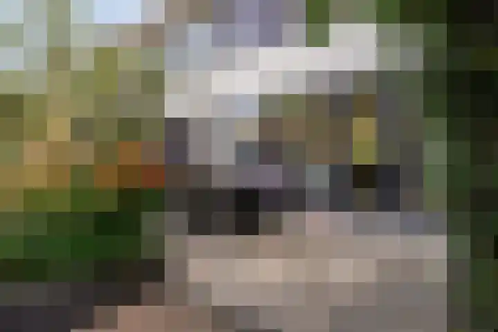 Orpheuslaan 17 Eindhoven thumbnail 45