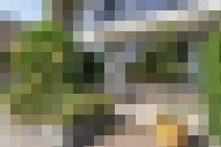 Orpheuslaan 17 Eindhoven thumbnail 47