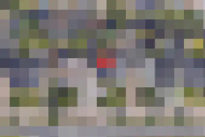Orpheuslaan 17 Eindhoven thumbnail 50
