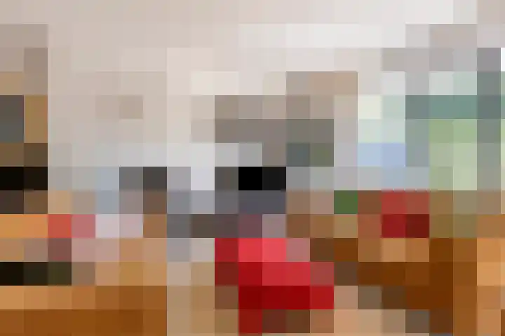 Orpheuslaan 17 Eindhoven thumbnail 9