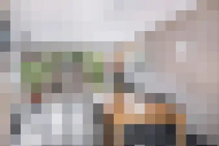 Orpheuslaan 19 Nieuwegein thumbnail 13