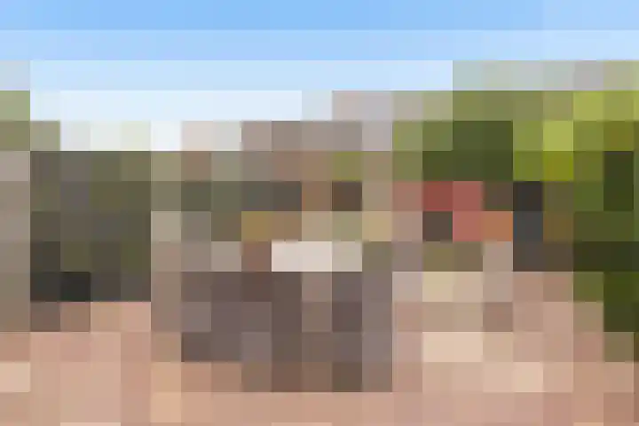 Orpheuslaan 19 Nieuwegein thumbnail 15
