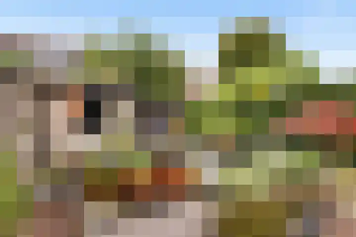 Orpheuslaan 19 Nieuwegein thumbnail 16