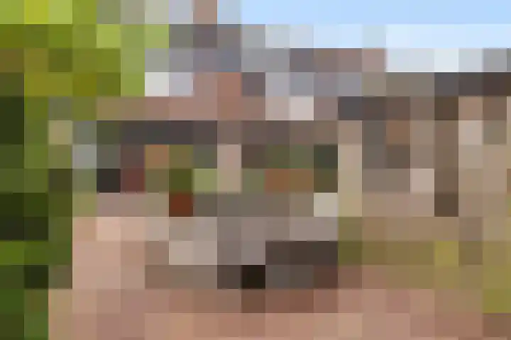 Orpheuslaan 19 Nieuwegein thumbnail 17