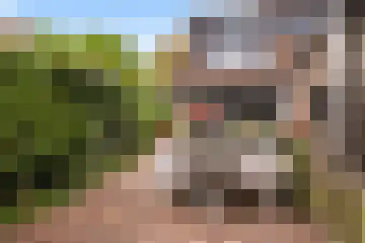 Orpheuslaan 19 Nieuwegein thumbnail 18