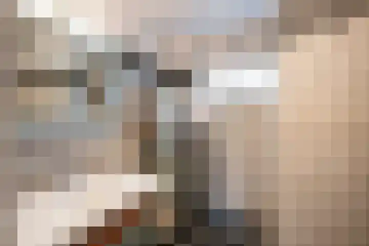 Orpheuslaan 19 Nieuwegein thumbnail 23