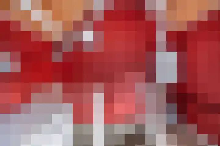 Orpheuslaan 19 Nieuwegein thumbnail 31