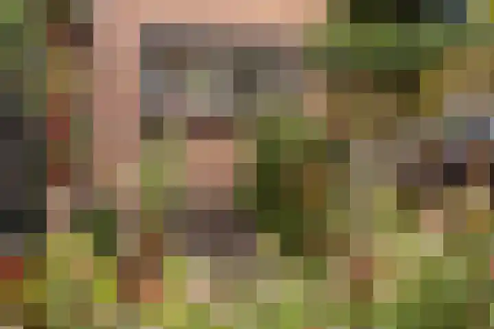 Orpheuslaan 19 Nieuwegein thumbnail 36