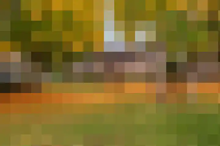 Orpheuslaan 19 Nieuwegein thumbnail 41