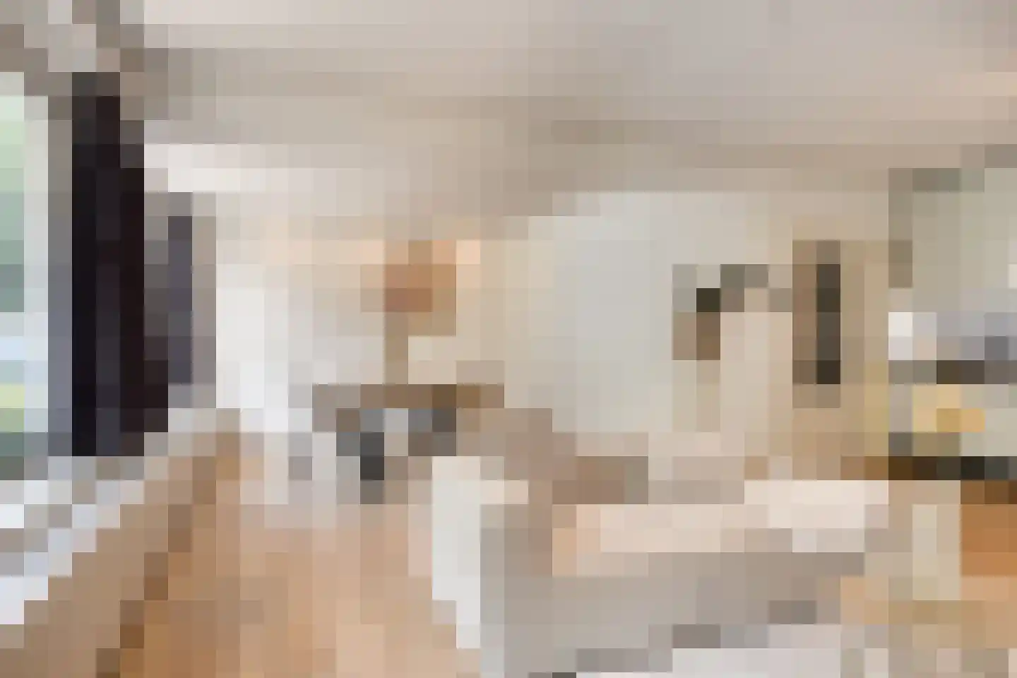 Orpheuslaan 29 Eindhoven thumbnail 12