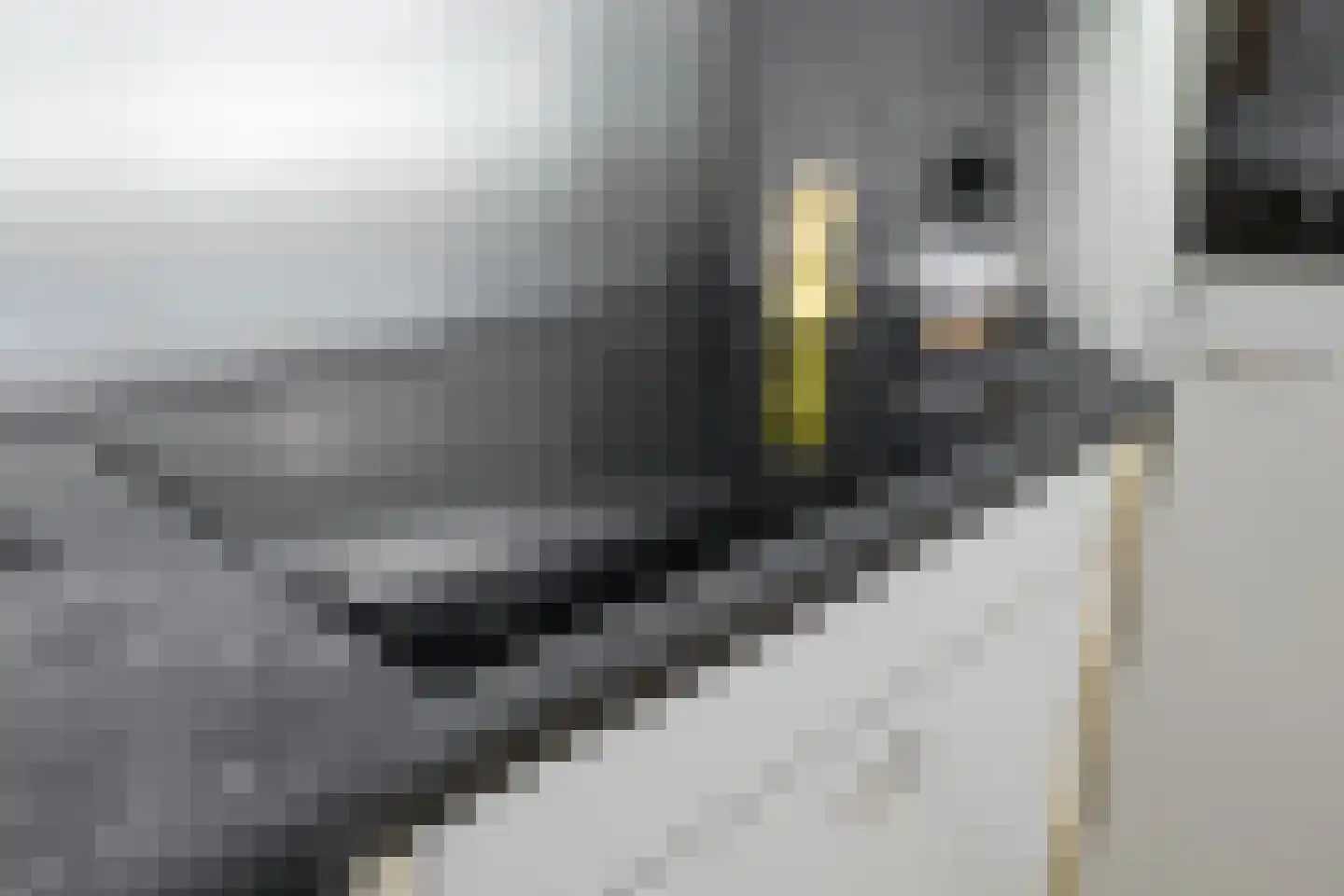 Orpheuslaan 29 Eindhoven thumbnail 16