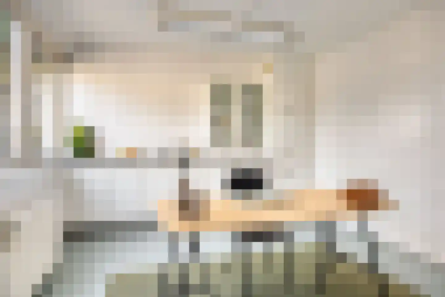 Orpheuslaan 29 Eindhoven thumbnail 20