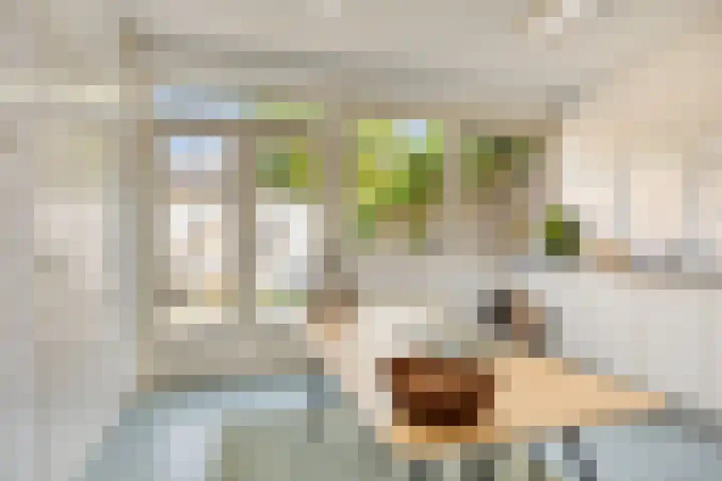 Orpheuslaan 29 Eindhoven thumbnail 22