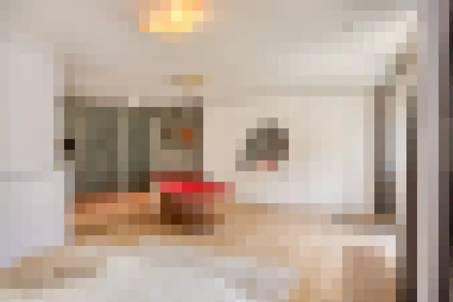 Orpheuslaan 29 Eindhoven thumbnail 28