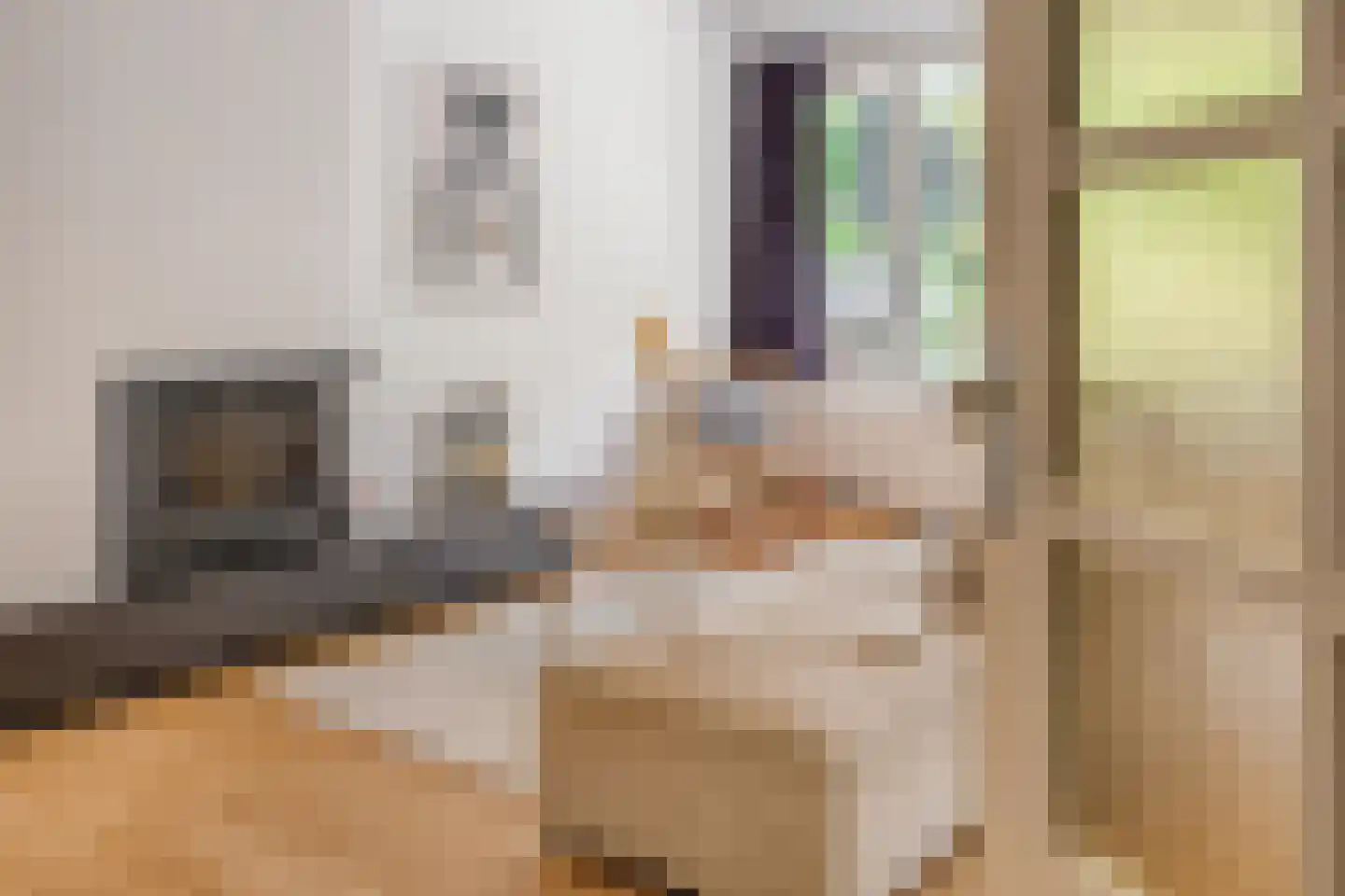 Orpheuslaan 29 Eindhoven thumbnail 8