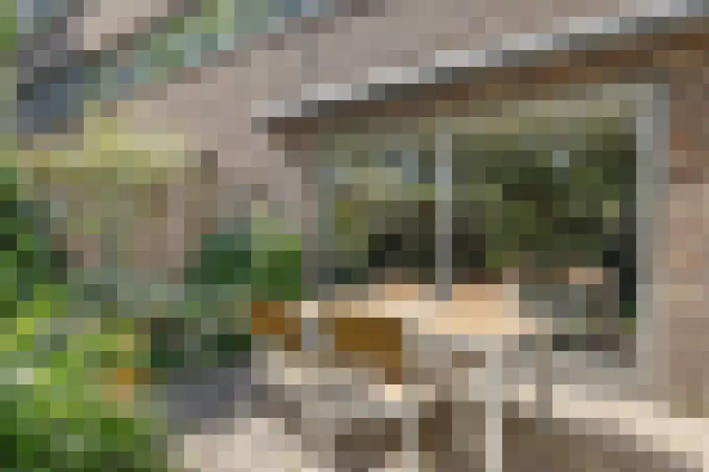 Orpheuspad 19 Amersfoort thumbnail 35