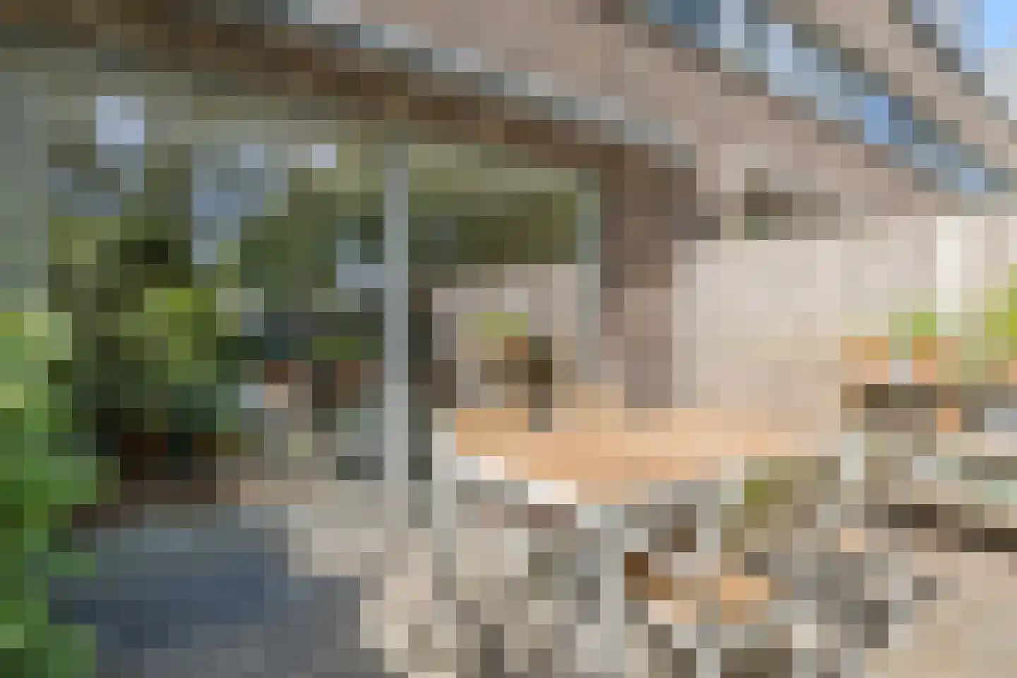 Orpheuspad 19 Amersfoort thumbnail 36