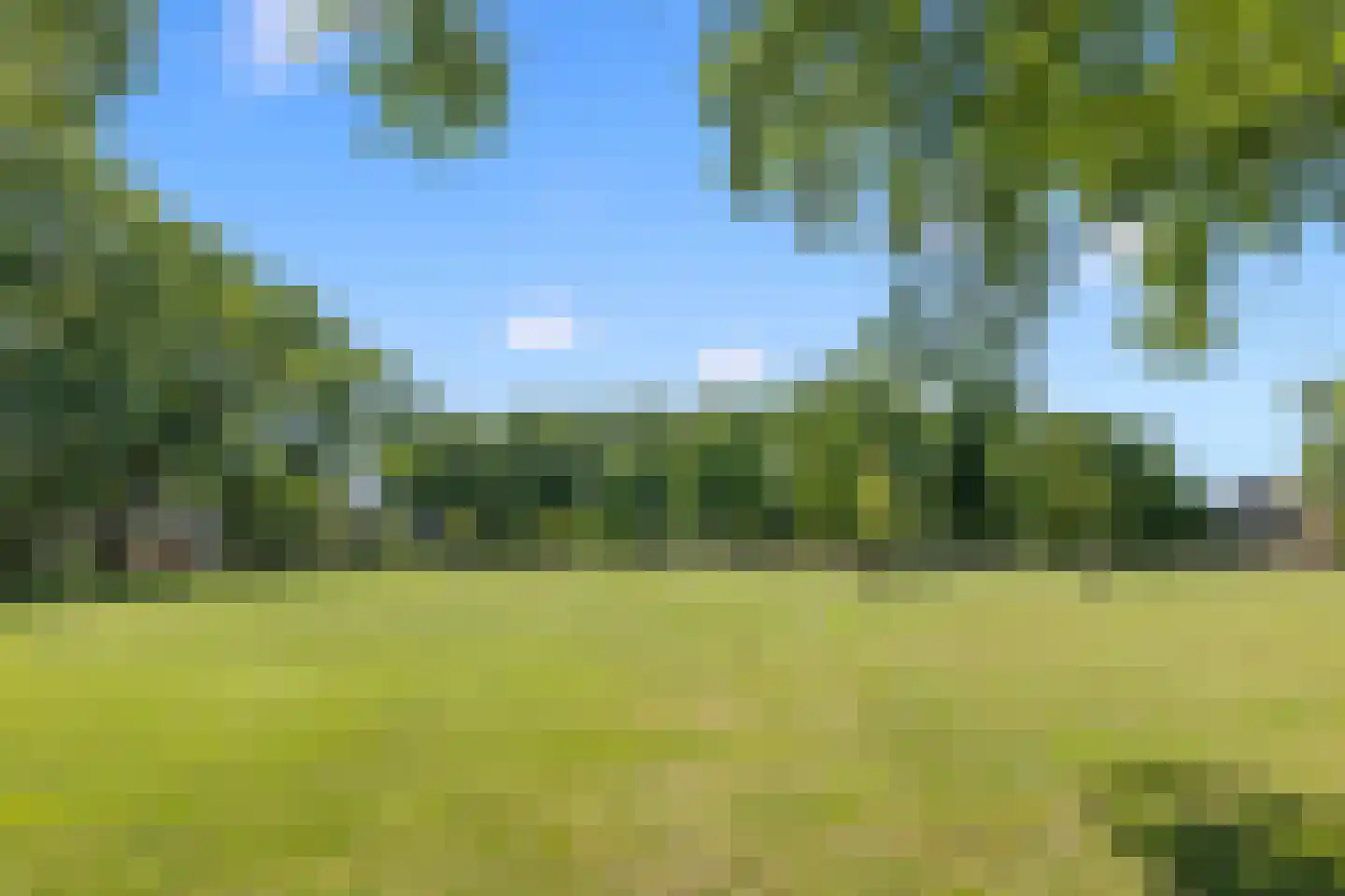 Orpheuspad 19 Amersfoort thumbnail 44