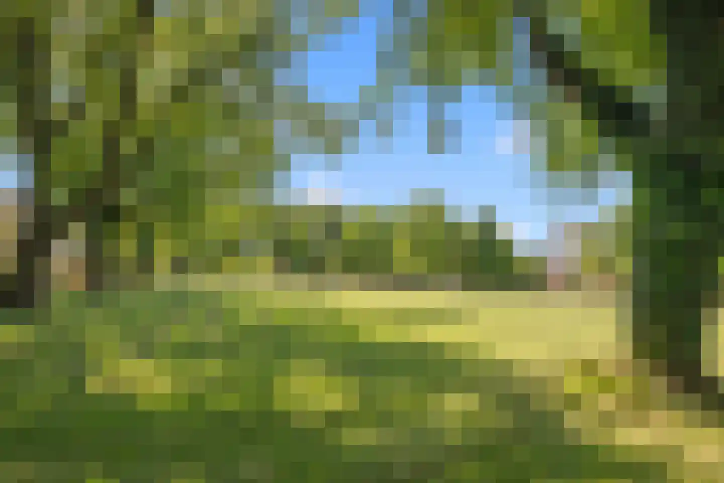 Orpheuspad 19 Amersfoort thumbnail 45