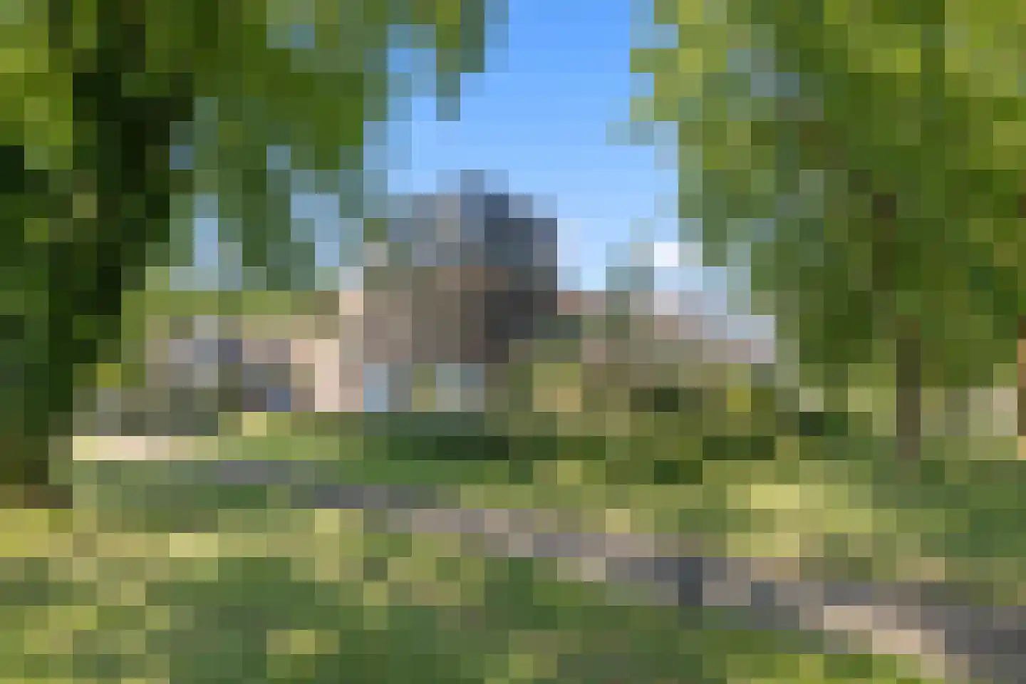 Orpheuspad 19 Amersfoort thumbnail 46