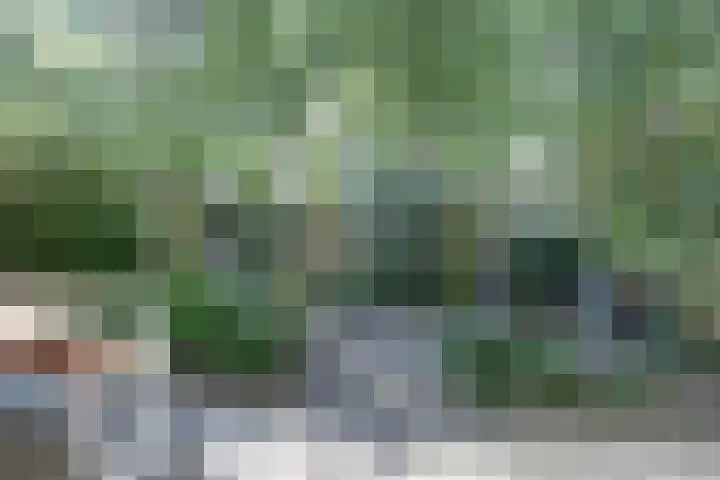 Orpheuspad 23 Amersfoort thumbnail 33