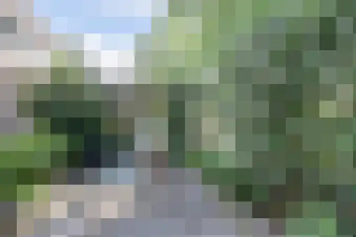 Orpheuspad 23 Amersfoort thumbnail 34